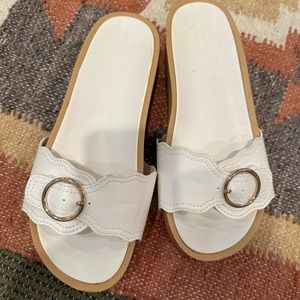 Aster Buckle slide size 7.